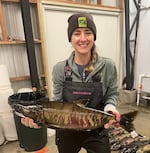 Kelcee Smith is the coordinator for the Oregon Department of Fish and Wildlife's Chum Salmon Reintroduction Program which aims to restore threatened Columbia River chum salmon in Oregon. She is shown in this photograph holding a male chum salmon at the Big Creek hatchery near Astoria in November 2021.