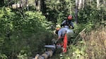 Two crew members work to clear a dead tree by cutting it up with a chainsaw.