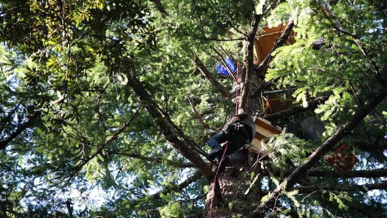 Stationed on wooden platforms and rope lines 100 feet in the air, members of the group Cascadia Forest Defenders are protesting what they claim is a clear cut of native forest. The logging is part of a pilot project designed to mimic nature.