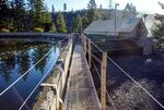 A shed sits over the spillway of the J.C. Boyle Dam. It contains a nursery roost for over 100 bats.