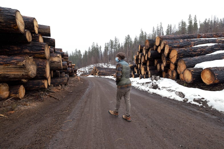 Jon Haas, finance director for Breitenbush Hot Springs, looks over the decks of timber along Forest Service Road 46 on the way to Breitenbush, March 5, 2021.
