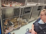 Dr. Kelly Hazzard talks to dogs Mabel, left, and Archie, center, at the Eugene Spay and Neuter Clinic.