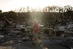 August 12: A resident looks around a charred apartment complex in the aftermath of a wildfire in Lahaina, western Maui, Hawaii.