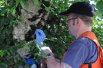 Geoffrey Donovan of the U.S. Forest Service collects a moss sample.