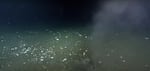 A plume of bubbles emits from a small hole in the bottom of the ocean.