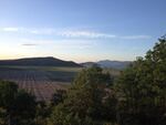 Dry fields with trees in the foreground and hills or mountains in the distance.