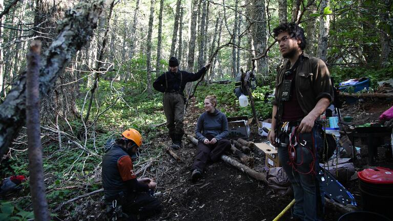 Ground camp: Josh Eng, right, prepares to climb up a fir tree with fellow protesters (from left) Brian Garcia, Shannon Wilson and Kate Armstrong. The group is protesting a plan to log at the site.