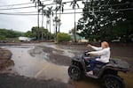 FILE - Peggy McKibbin looks at where floodwaters from nearby Hurricane Nolo run past widespread damage from last month's Hurricane Lala, Sunday, Sept. 27, 2026, in Naalehu, Hawaii.