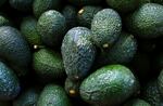 A pile of more than a dozen avocados.
