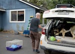 Tim Flynn loads his dog, Dandelion, into his car outside his house in Sisters, Ore., on Aug. 27, 2025. Flynn and his children and animals spent five days under evacuation orders from the Flat Fire.