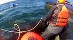 A responder in an inflatable boat retrieves line from the entangled humpback whale while a Newport fishing vessel winches in fishing gear anchoring the whale to the bottom.