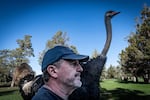Michael Lehman is co-owner of Central Oregon Ostriches and believes they can be the livestock of the future.