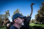 Michael Lehman is co-owner of Central Oregon Ostriches and believes they can be the livestock of the future.