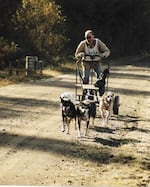 Tim Curley and his lead dog Tilley, front row, right.