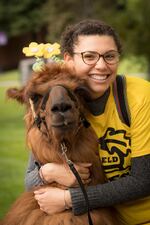 A Linfield College student hugs a therapy llama. Linfield administrators have brought therapy animals to the McMinnville campus to help relieve stress during exam periods.