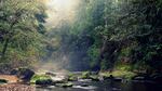West Fork Millicoma River in Elliot State Forest.