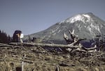 The USGS set up an observation post on a ridge 6 miles northwest of Mount St. Helens. The timber clearcut offered an unobstructed view of the volcano's north side, and the growing bulge. It would become a site of tragedy the morning of May 18th, 1980, when the volcano erupted sideways, rolling over this location in a pyroclastic flow, killing the geologist who was keeping watch, David Johnston.