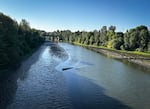 A stretch of the Columbia Slough in Portland, Ore., on July 29, 2025.