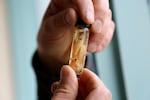 Washington State University agricultural specialist Kim Patten holds up a vial of tiny ghost shrimp at his office in Long Beach, Wash.