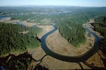 The Yaquina Estuary is one of the only places on the Oregon coast where native oysters can thrive.