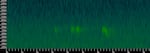 The audio spectrum of a female northern spotted owl shows her signature four note call. Oregon, June 11, 2026