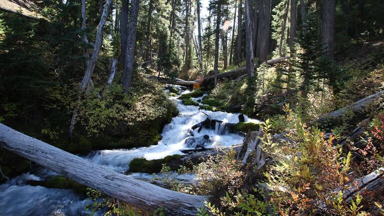 The Rogue River, a half mile away from its source. 