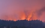 Orange, smoky skies above a treelined ridgeline where wildfire is burning.