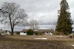 FILE - A former grass seed farm next to Hillsboro's high-tech cluster, pictured Feb. 27, 2023.