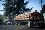 Rural Oregon communities like Tillamook County, where this 2020 photo was taken, have collectively lost billions in revenue since the 1990s due to a series of cuts to taxes on logging and owning timberlands.