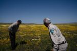 Gabe Garcia (left), the head of the Bakersfield field office for the Bureau of Land Management stands in a field of wildflowers.