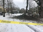 Nearly every block in Woodstock and Eastmoreland in Portland has tree limbs and power lines down as thousands remained without power on Monday.