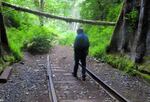 Retired forester John Barns walks along an abandoned railroad line that would serve as the route for the proposed Salmonberry Trail in the Oregon Coast Range.