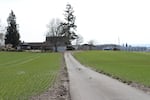 Hillsboro bought this former grass seed farm for $23,000,000 in late 2021 and hopes to turn it into a major semiconductor campus. It's close to Hitachi's Nanotechnology Innovation Center (right), pictured March 17, 2023.