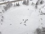 An park turns into a winter playground during Oregon's snowstorm.