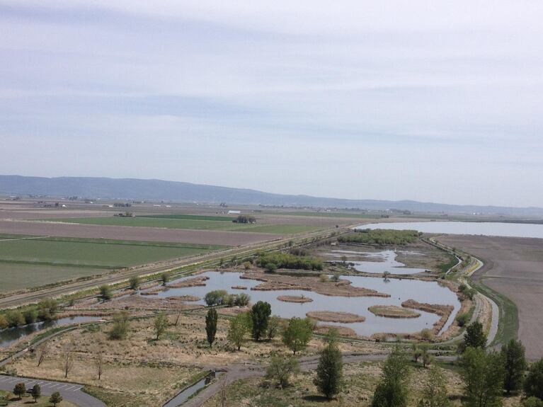 Wildlife refuges in the Klamath Basin often feature a mixture of commercial agriculture and what remains of the historic wetlands.