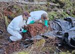 Two men in hazmat suits handle a decomposing cow carcass from a creek bed with the aid of black tarp.