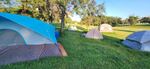 Multiple tents stand in a grassy area with trees in the background.