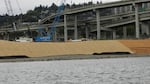 Zidell is reworking the banks of the Willamette River by blanketing it with fiber blankets and reseeding it. Coir logs, made of coconut husks, are used to manage erosion and protect seedlings. 