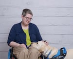 A woman with short hair and glasses, in a wheelchair, pets the dog, a Labrador Retriever, that puts its head in her lap and looks up at her.