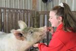 17-year-old Alli Dixson looks after one of the pigs she's hoping to auction at the Tillamook County Fair this year.