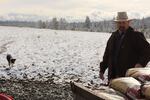 Todd Nash unloads bags of mineral feed for his cattle in a pasture where he's had multiple wolf attacks. After Nash and other ranchers petitioned for wolves from one pack to be killed, another moved in and kept preying on cattle.