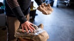 Sasquatch researcher Cliff Barackman shows off a few casts of Bigfoot handprints in his home outside of Sandy, Oregon. 