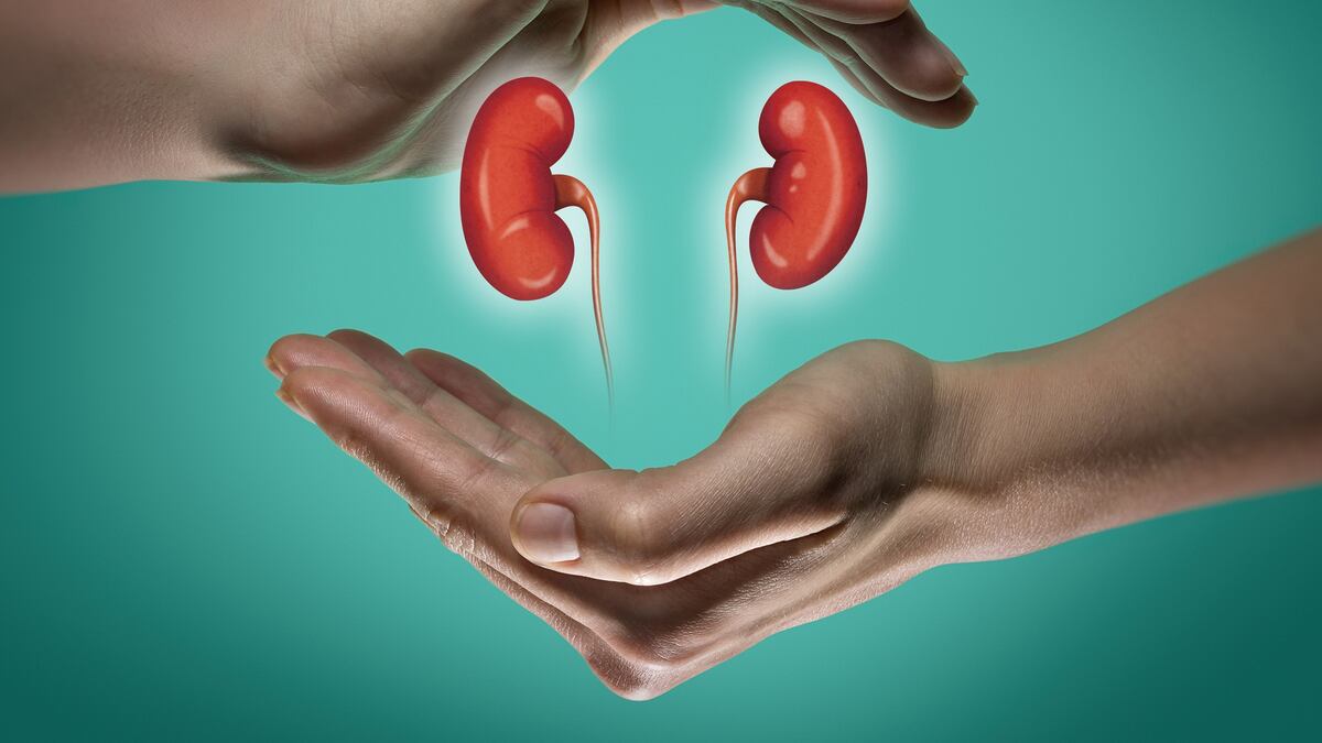 There’s a severe kidney shortage. Should donors be compensated? There’s a severe kidney shortage. Should donors be compensated?