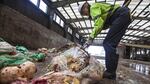 Zdenka Novak, a Recology employee contracted by Metro, pulls unacceptable plastic and cardboard out of the commercial food waste piles at the Metro Central transfer station.