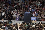 A bird landed on stage at a campaign rally for presidential candidate Bernie Sanders at Portland's Moda Center on March 25, 2016.