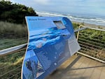An informational sign at Driftwood Beach State Park on the Oregon Coast describes PacWave, the wave energy testing facility that runs under and offshore from the park.