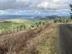 Oregon State University researchers projected forest carbon sequestration based on data from the McDonald-Dunn Research Forest in the Oregon Coast Range.