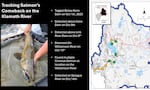 A guide to salmon returning to the Upper Klamath Basin created by the Oregon Department of Fish and Wildlife in October 2025.