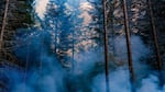 Smoke is visible amongst trees