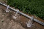 Water floods a field at an irrigation project run by the University of California.